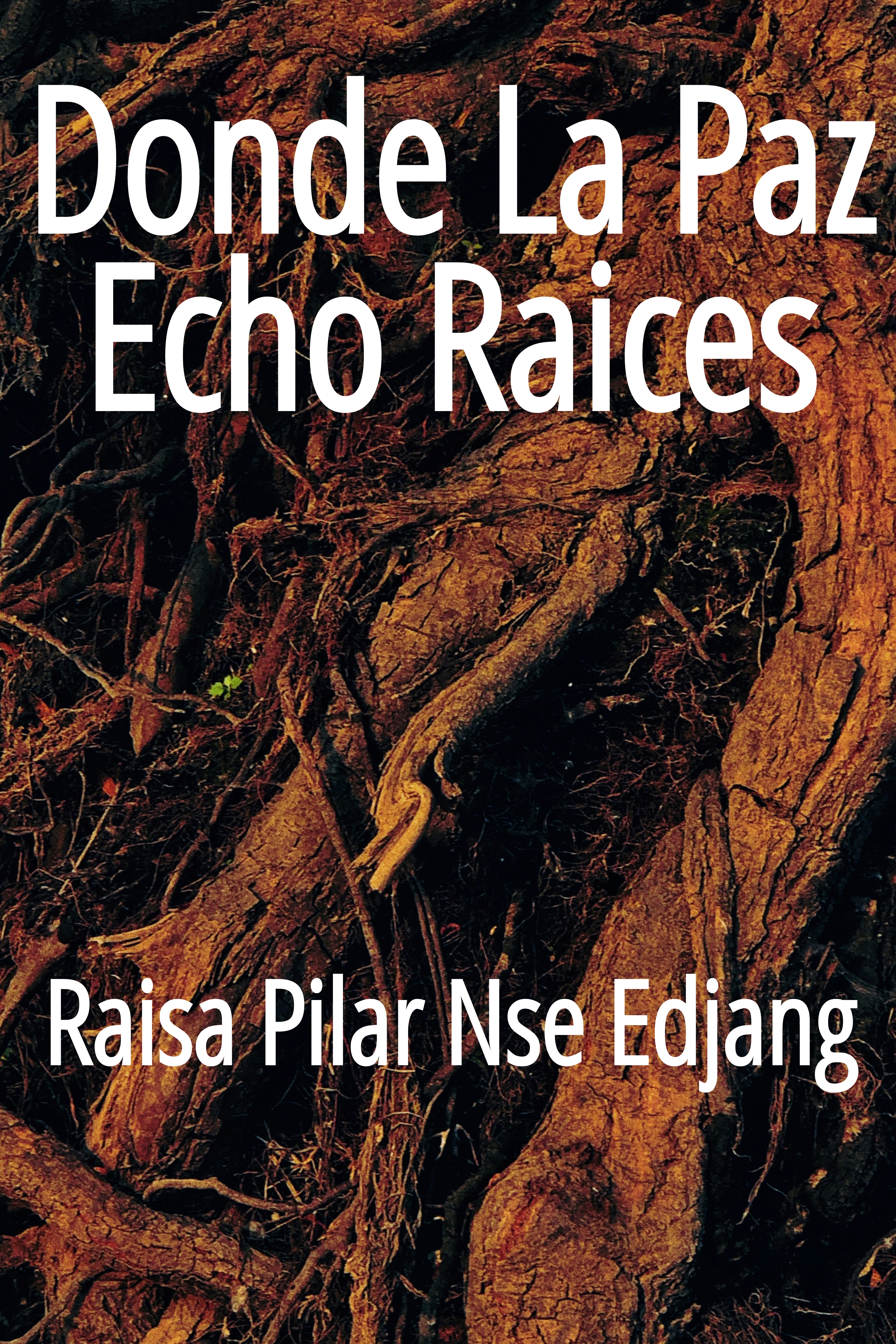 Cover of the book Where Peace Took Root